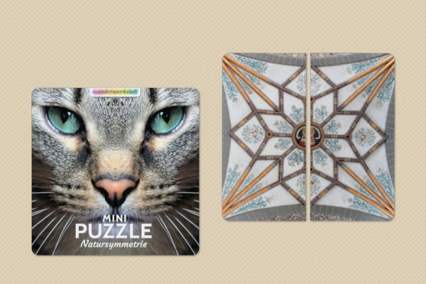 puzzle_symmetrie3
