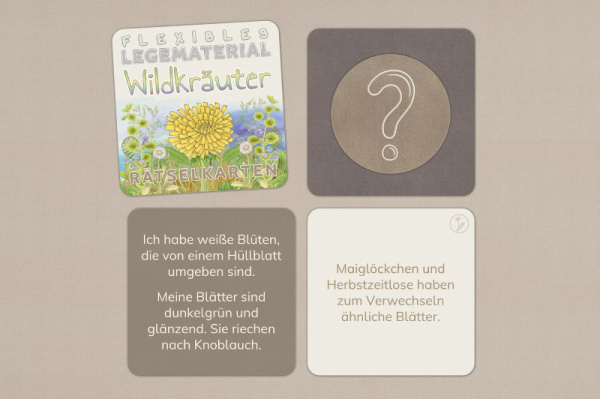 raetsel_wildkrauter__1