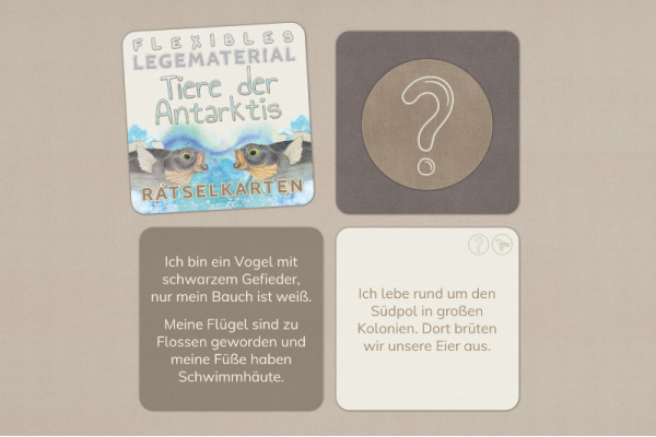 Rätselkarten - Tiere der Antarktis raetselkarten_antarktis_1