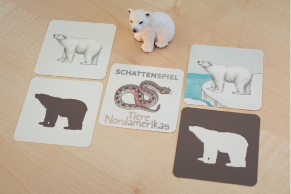 Schattenspiel Tiere Nordamerikas schatten_na_titel2