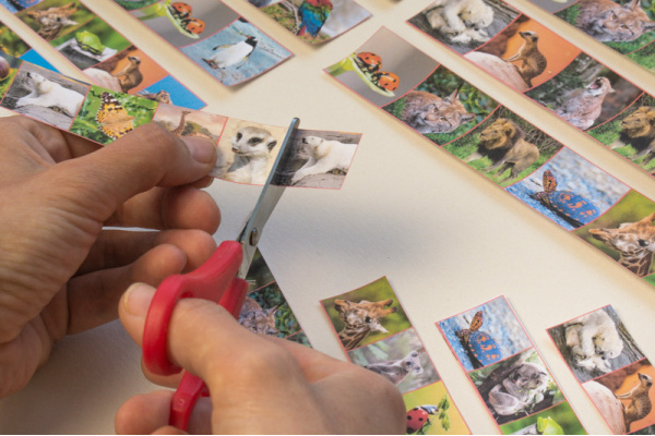schneidestreifen_tiere