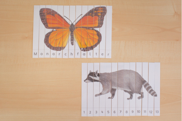 Tiere Nordamerikas Streifen-Puzzle (Download) streifen_na