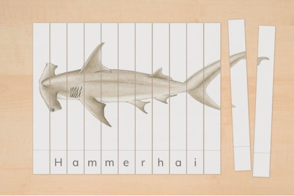 Streifenpuzzle Haie (Download) streifenpuzzle_haie