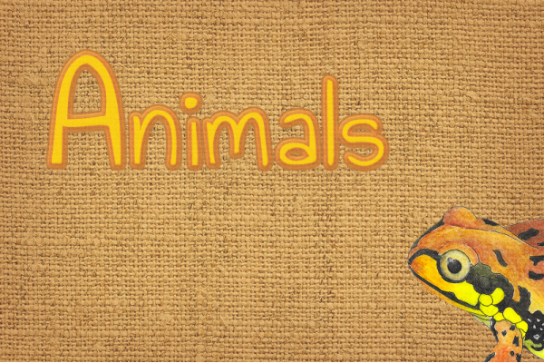 t-animals