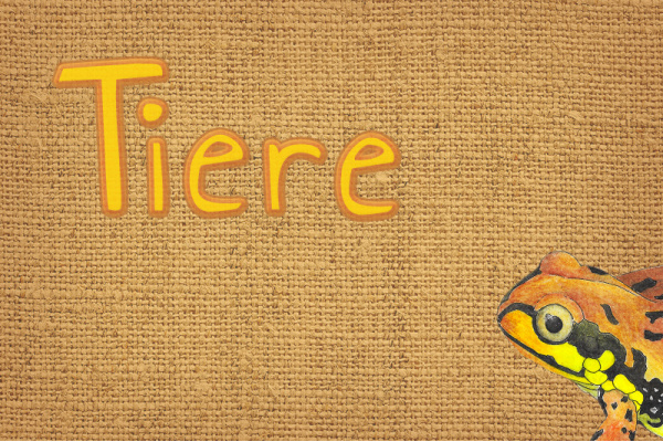 tiere