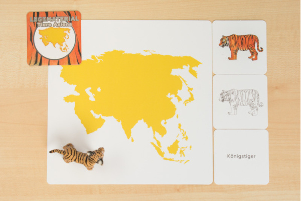 Legematerial "Tiere Asiens" (20 Tiere) tiere_asien_titel