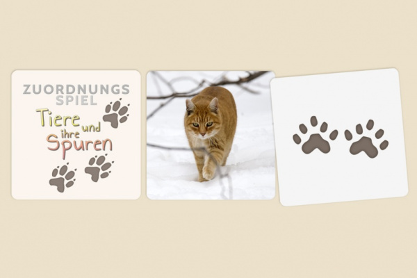 18 Tiere und ihre Spuren tierspuren_titel_2063994762