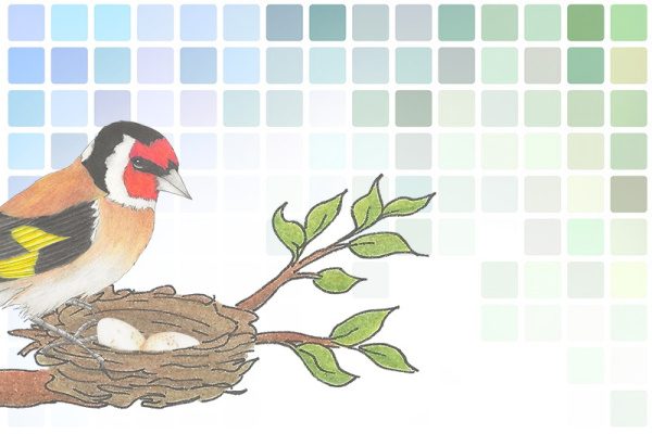 Vogelwerkstatt - das neue, flexible Legematarial werkstatt_voegel_titelmont