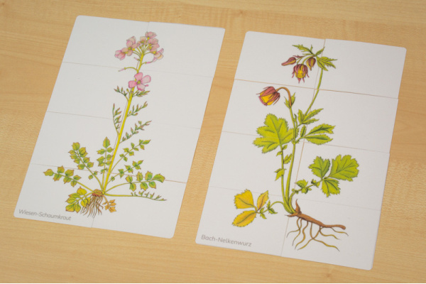 Wiesenblumen-Puzzle wiesenblumen_puzzle