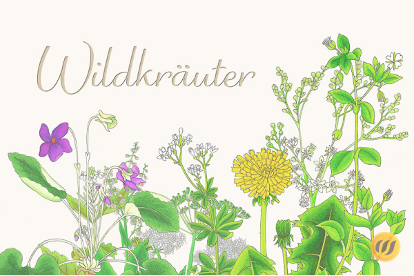 wildekraeuter