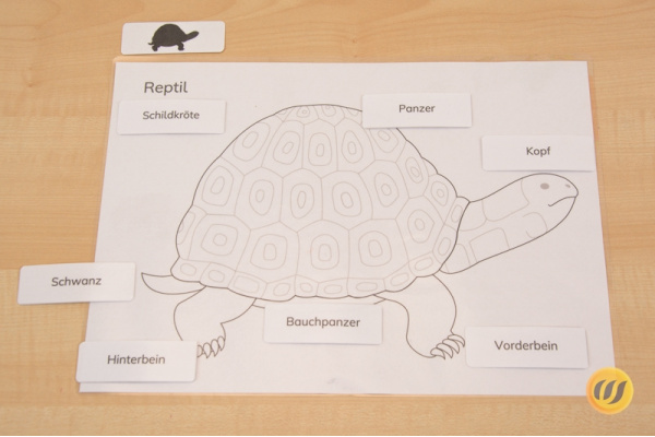 wirbeltieredruckschrift