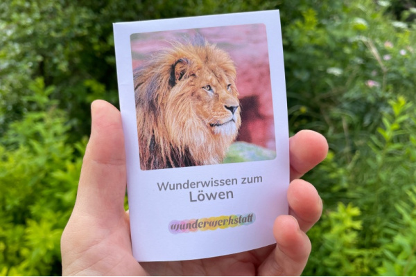 wunderwissen_faltbuechlein-loewe