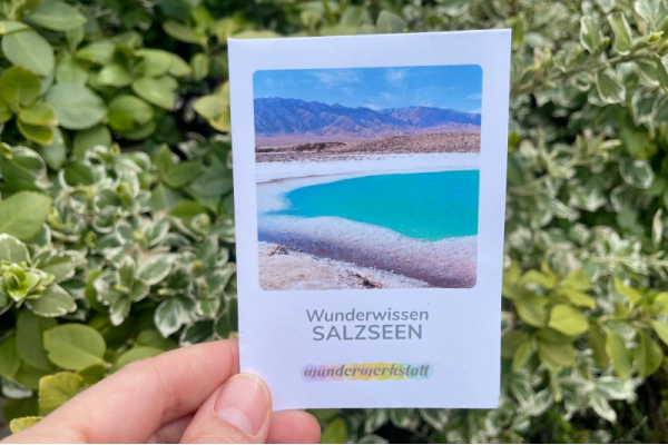 ww_salzseen_titel