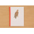 Arbeitsheft Tiere Europas (Download)