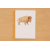Arbeitsheft Tiere Nordamerikas (Download)