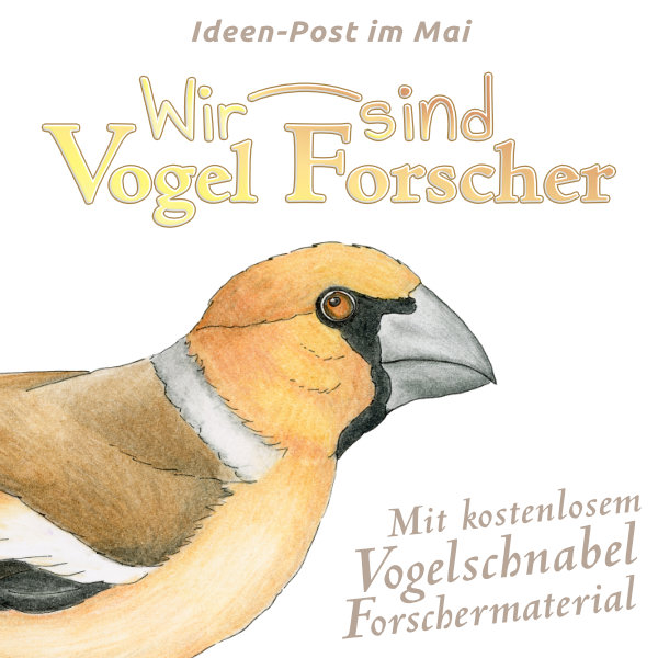 Wir sind Vogelforscher