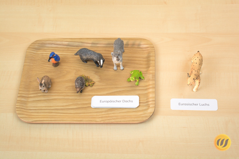 Tierfiguren beschriften