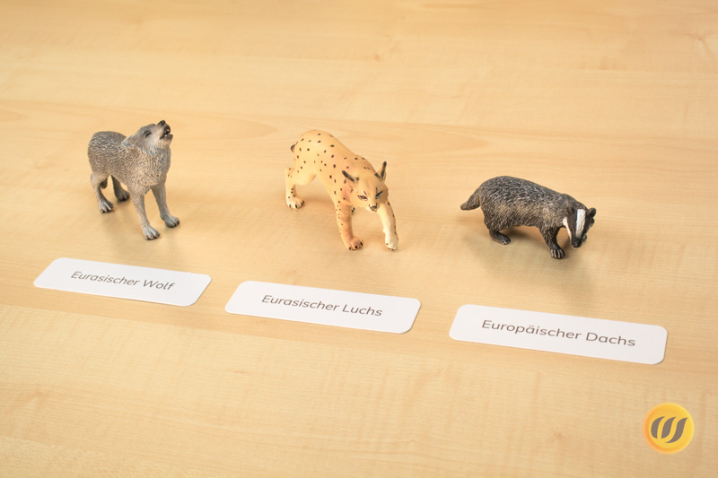 Beschriftete Tiere