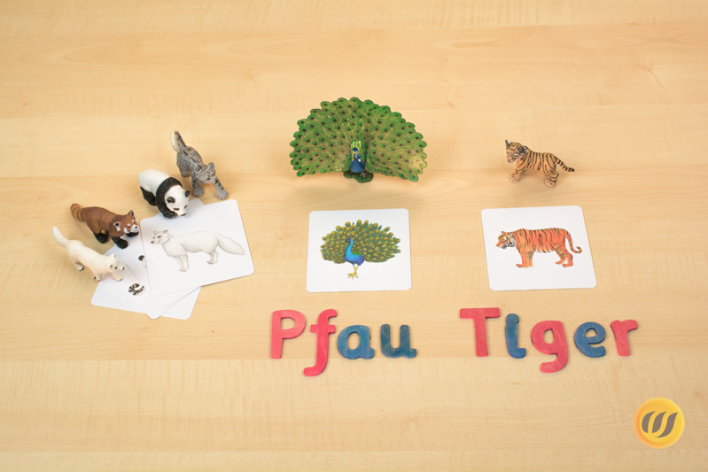 Namen von Tieren mit dem beweglichen Alphabet legen