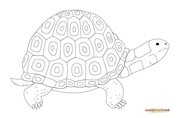 sägevorlage für die Schildkröte