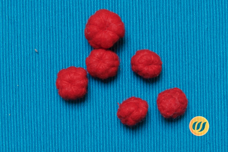 Himbeeren aus Filz