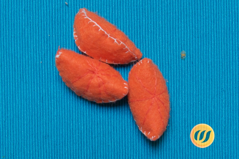 Mandarinenstücke aus Filz