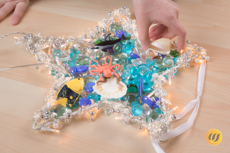 Lichterstern als Aquarium