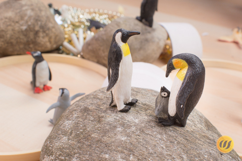 Pinguinkonferenz
