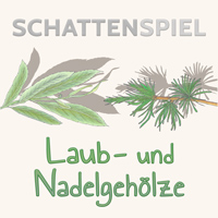 Schattenspiel Laub- und Nadelgehölze