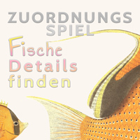 Fische Details finden