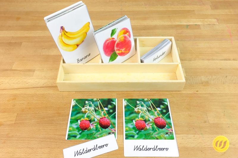 Nomenklaturkarten Obst