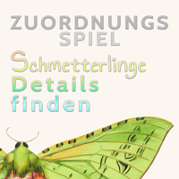 Schmetterlinge Details finden