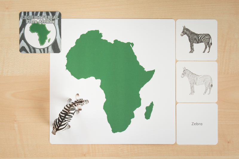Legematerial Tiere Afrikas