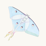 Indischer Mondspinner