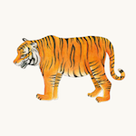 Königstiger