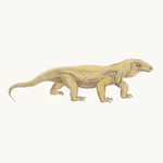 Komodowaran